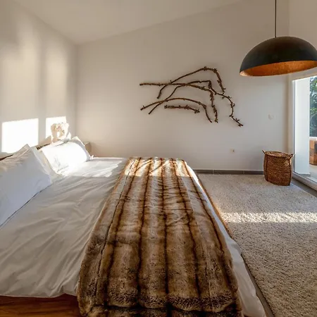 Lovely In With Sauna Holiday home *